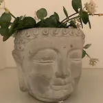 Luettje Hoern 公寓 *