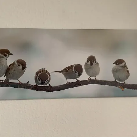 Luettje Hoern アパート エムデン
